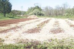 Family Food Farming Plot in Flemington, NJ
