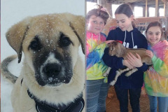 Children with Dog on CSA Farm in Clinton