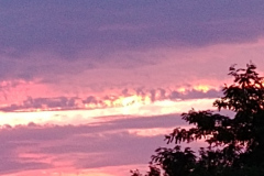 Sunset at Flemington Organic Farm