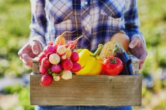 Clinton, NJ Grow Organic Vegetables in Basket