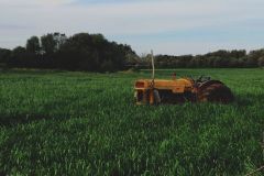 Tractor on Tewksbury Organic Farm