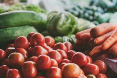 Grow Organic Vegetables in Princeton