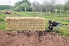 Flemington Organic Farming Plot
