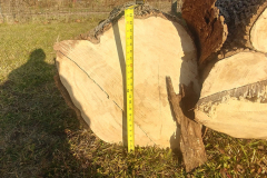 wood-2