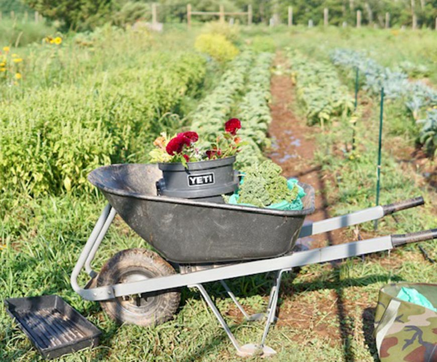 Wheelbarrow on Clinton CSA Farm Moving Organic Farm Plants