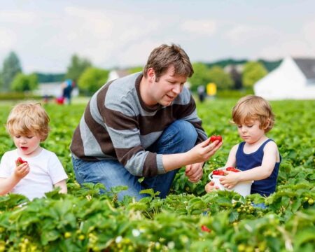 dad with children on farm for Family Food Farming with Organic Farm Vegetables in Bound Brook, Branchburg, Clinton, Flemington, Princeton, Tewksbury