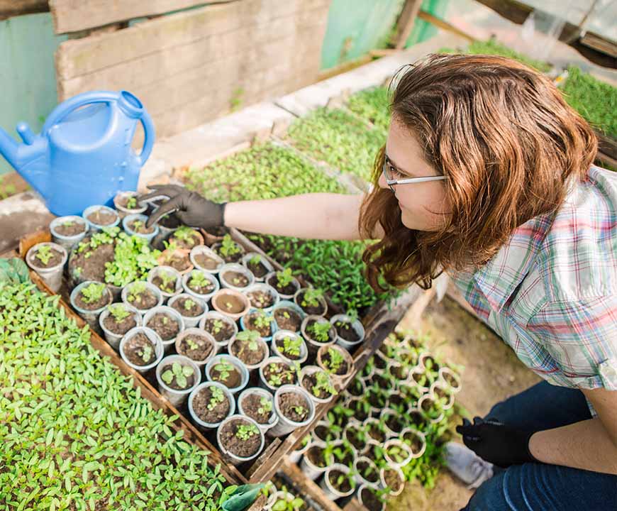 Woman at Clinton, NJ Organic Farm Planting Seeds to Grow Organic Vegetables